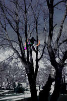Phyre in the sky uploaded by AmurPhyre Phyre in the sky uploaded by AmurPhyre