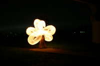 Hot House Flower uploaded by Irishguy_in_Japan Hot House Flower uploaded by Irishguy_in_Japan