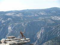 Half Dome uploaded by kadenthespinner Half Dome uploaded by kadenthespinner