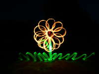 combo flower uploaded by alesya combo flower uploaded by alesya
