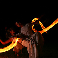 FireBrushDip