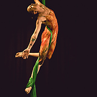 Flying Phoenix