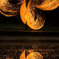 Fire Snakes Flowers