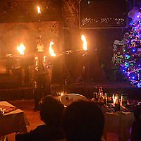 fire show in jungle