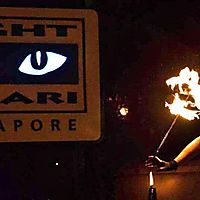 Safari fire
