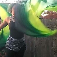 Silk Butterfly