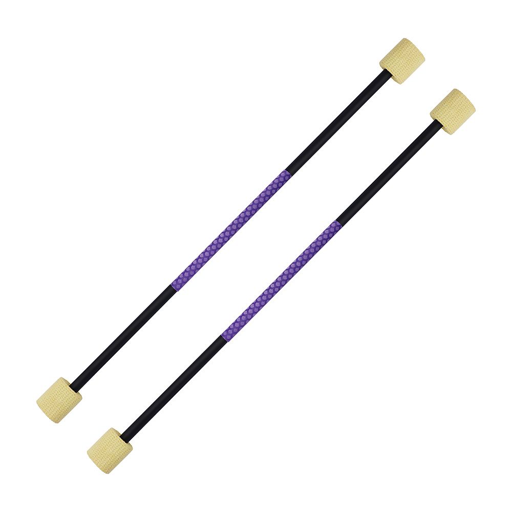 Pair of Expert Fire Twirling Baton