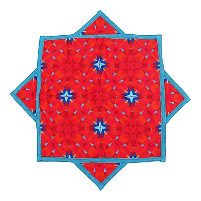  Spinning Plates, Single Hoper Spin Geometric Bloom